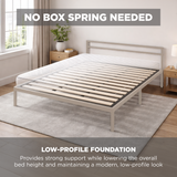 BetterBunkie™ Endure - Low Profile Box Spring Replacement
